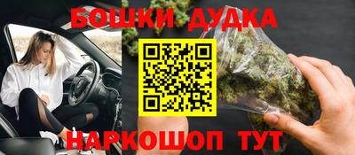 бошки Дубна