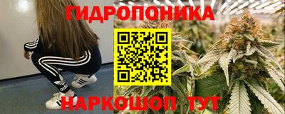 гидра Донецк