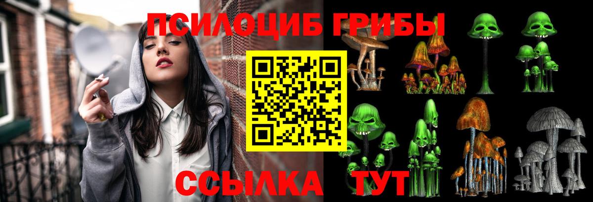 Галлюциногенные грибы MAGIC MUSHROOMS  Вход с VPN  Зерноград 